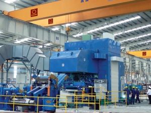 báo giá tôn hoa sen